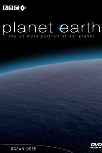 Planet Earth - Posters