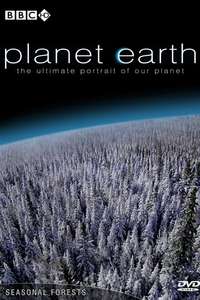 Planet Earth - Posters