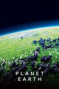 Planet Earth - Posters