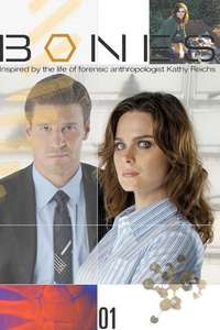 Bones - Posters
