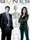 Bones : Season 1