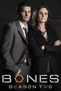 Bones - Posters