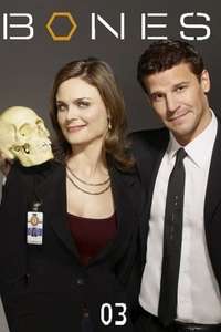 Bones - Posters