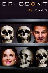 Bones - Posters