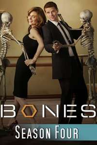 Bones - Posters