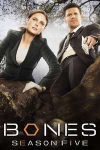 Bones - Posters