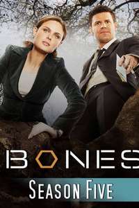 Bones - Posters