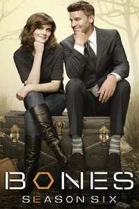 Bones - Posters