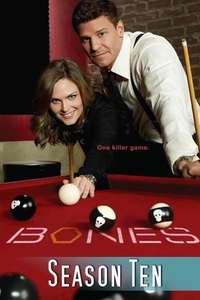 Bones - Posters