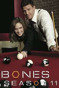Bones - Posters