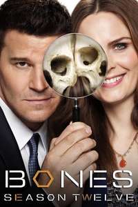 Bones - Posters