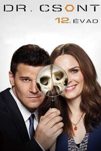 Bones - Posters