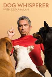 Dog Whisperer
