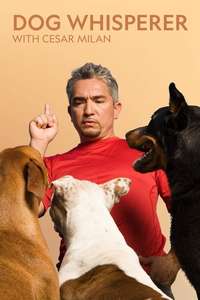 Dog Whisperer - Poster