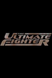The Ultimate Fighter - Poster