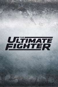 The Ultimate Fighter - Poster