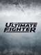The Ultimate Fighter
