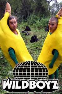 Wildboyz - Posters