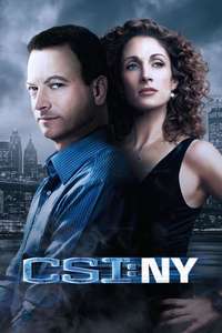 CSI: NY - Posters