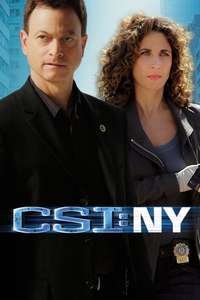 CSI: NY - Posters