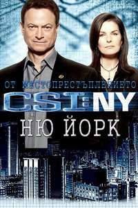 CSI: NY - Posters