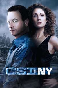 CSI: NY - Posters