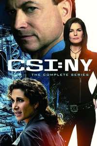 CSI: NY - Posters