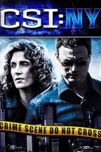 CSI: NY - Posters