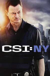 CSI: NY - Posters