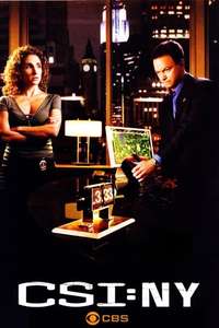 CSI: NY - Posters