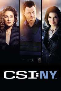CSI: NY - Posters