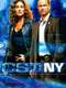 CSI: NY