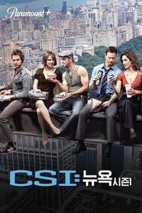 CSI: NY - Posters