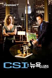 CSI: NY - Posters