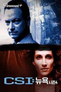 CSI: NY - Posters