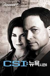 CSI: NY - Posters