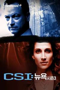 CSI: NY - Posters