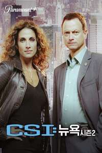 CSI: NY - Posters
