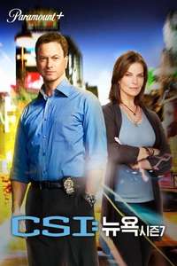 CSI: NY - Posters