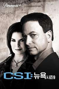 CSI: NY - Posters