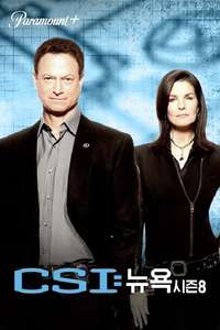 CSI: NY - Posters