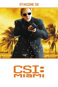 CSI: Miami - Poster