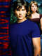 Smallville : Season 4