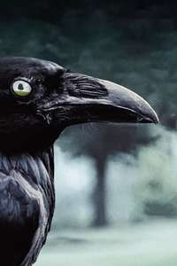 Six Feet Under - Posters