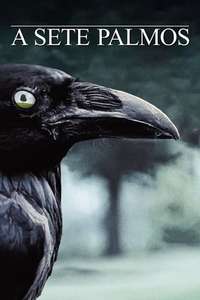 Six Feet Under - Posters