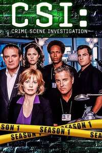 CSI: Crime Scene Investigation - Posters