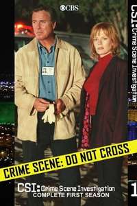 CSI: Crime Scene Investigation - Posters