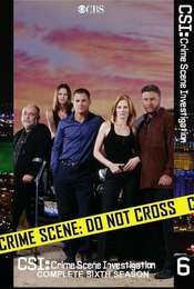 CSI: Crime Scene Investigation Season 6