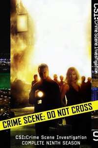 CSI: Crime Scene Investigation - Posters
