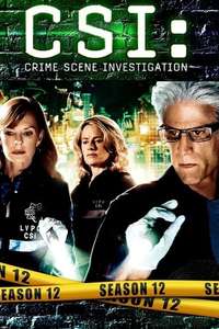 CSI: Crime Scene Investigation - Posters